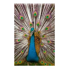 Indian Peacock Plumage Shower Curtain 48  X 72  (small)  by Simbadda