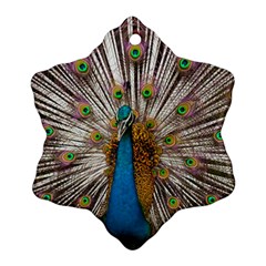 Indian Peacock Plumage Snowflake Ornament (two Sides) by Simbadda