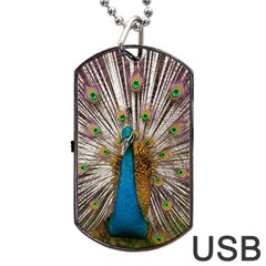 Indian Peacock Plumage Dog Tag Usb Flash (one Side) by Simbadda