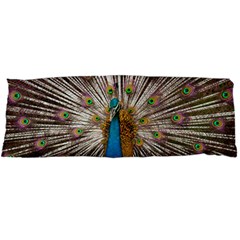 Indian Peacock Plumage Body Pillow Case Dakimakura (two Sides) by Simbadda