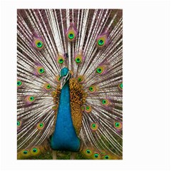 Indian Peacock Plumage Large Garden Flag (two Sides) by Simbadda