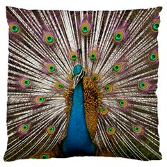 Indian Peacock Plumage Large Cushion Case (one Side) by Simbadda