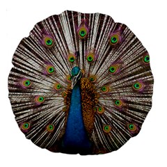 Indian Peacock Plumage Large 18  Premium Round Cushions by Simbadda