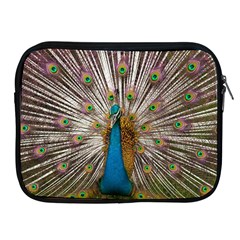 Indian Peacock Plumage Apple Ipad 2/3/4 Zipper Cases by Simbadda