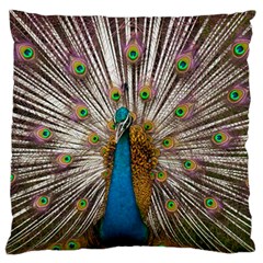 Indian Peacock Plumage Standard Flano Cushion Case (two Sides) by Simbadda