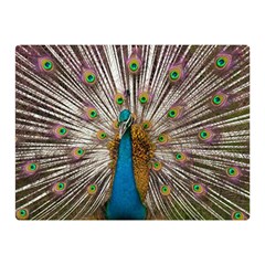 Indian Peacock Plumage Double Sided Flano Blanket (mini)  by Simbadda