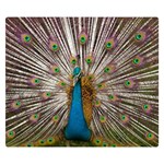 Indian Peacock Plumage Double Sided Flano Blanket (Small)  50 x40  Blanket Back