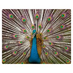 Indian Peacock Plumage Double Sided Flano Blanket (medium)  by Simbadda