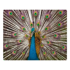 Indian Peacock Plumage Double Sided Flano Blanket (large)  by Simbadda