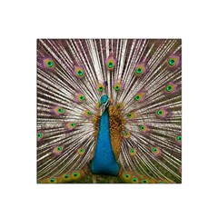 Indian Peacock Plumage Satin Bandana Scarf by Simbadda