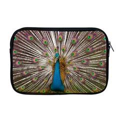 Indian Peacock Plumage Apple Macbook Pro 17  Zipper Case