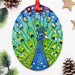 Peacock Bird Animation Ornament (oval Filigree) by Simbadda