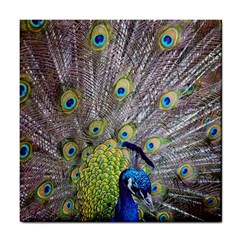 Peacock Bird Feathers Tile Coasters