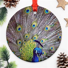 Peacock Bird Feathers Ornament (round) by Simbadda