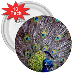 Peacock Bird Feathers 3  Buttons (10 Pack)  by Simbadda