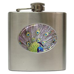 Peacock Bird Feathers Hip Flask (6 Oz) by Simbadda