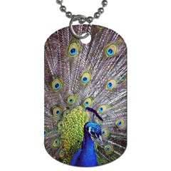 Peacock Bird Feathers Dog Tag (two Sides) by Simbadda