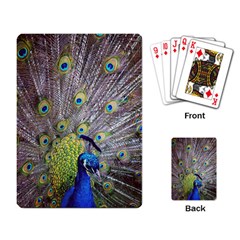 Peacock Bird Feathers Playing Card by Simbadda