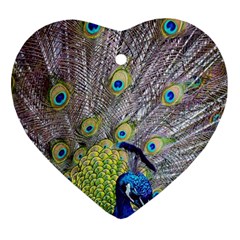 Peacock Bird Feathers Heart Ornament (two Sides)