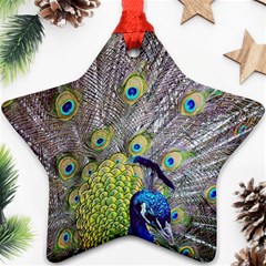 Peacock Bird Feathers Star Ornament (two Sides) by Simbadda