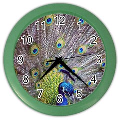 Peacock Bird Feathers Color Wall Clocks by Simbadda