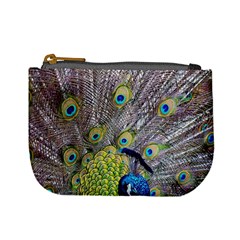 Peacock Bird Feathers Mini Coin Purses by Simbadda