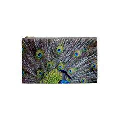 Peacock Bird Feathers Cosmetic Bag (small)  by Simbadda