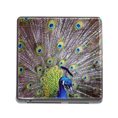 Peacock Bird Feathers Memory Card Reader (square) by Simbadda