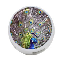 Peacock Bird Feathers 4-port Usb Hub (two Sides)  by Simbadda