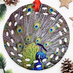 Peacock Bird Feathers Ornament (round Filigree) by Simbadda