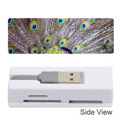 Peacock Bird Feathers Memory Card Reader (stick)  by Simbadda