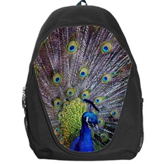 Peacock Bird Feathers Backpack Bag by Simbadda