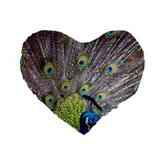 Peacock Bird Feathers Standard 16  Premium Heart Shape Cushions