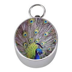 Peacock Bird Feathers Mini Silver Compasses by Simbadda