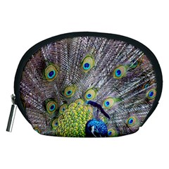 Peacock Bird Feathers Accessory Pouches (medium)  by Simbadda