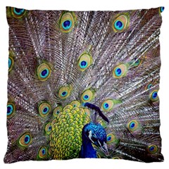 Peacock Bird Feathers Standard Flano Cushion Case (one Side) by Simbadda