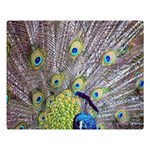 Peacock Bird Feathers Double Sided Flano Blanket (Large)  80 x60  Blanket Front