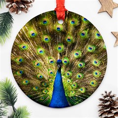 Peacock Bird Ornament (round) by Simbadda