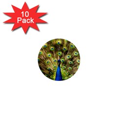 Peacock Bird 1  Mini Magnet (10 Pack)  by Simbadda