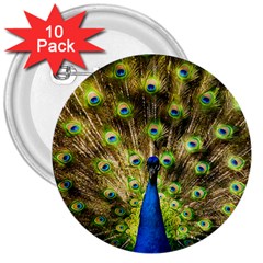 Peacock Bird 3  Buttons (10 Pack)  by Simbadda