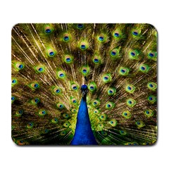 Peacock Bird Large Mousepads by Simbadda