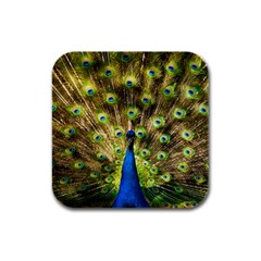 Peacock Bird Rubber Square Coaster (4 Pack)  by Simbadda