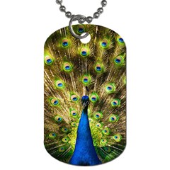 Peacock Bird Dog Tag (one Side) by Simbadda