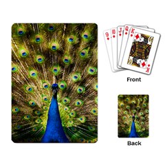 Peacock Bird Playing Card by Simbadda