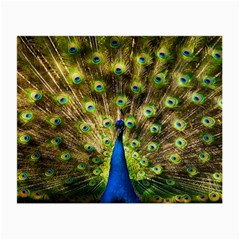 Peacock Bird Small Glasses Cloth (2-side) by Simbadda