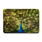 Peacock Bird Small Doormat  24 x16  Door Mat