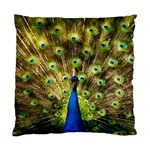 Peacock Bird Standard Cushion Case (One Side) Front