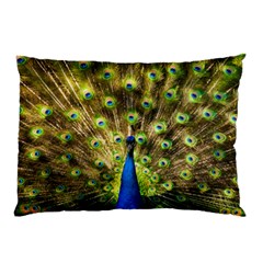 Peacock Bird Pillow Case by Simbadda