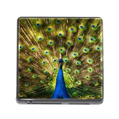 Peacock Bird Memory Card Reader (square) by Simbadda