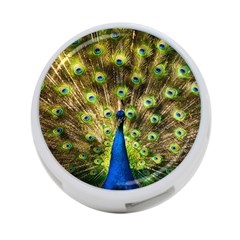 Peacock Bird 4-port Usb Hub (one Side) by Simbadda